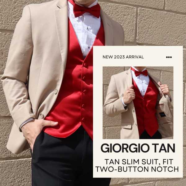 Elegant Penguin Tuxedo 88761