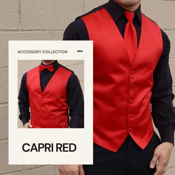 Elegant Penguin Tuxedo 12354