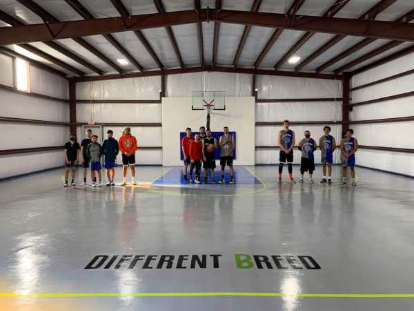 Different Breed Performance Training
