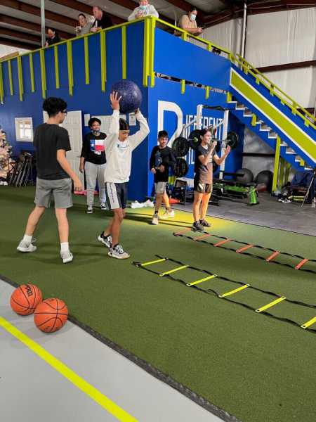 Different Breed Performance Training