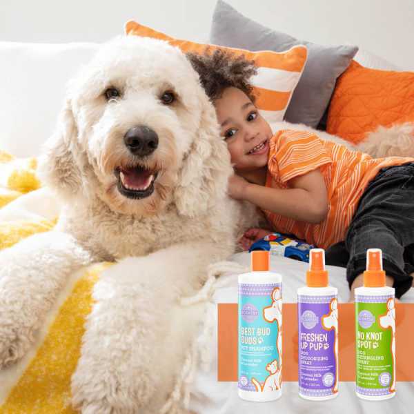 Johanna Reza Scentsy Consultant
