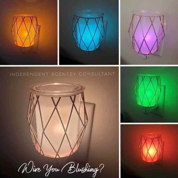 Johanna Reza Scentsy Consultant