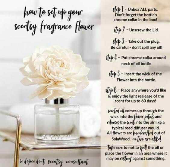 Johanna Reza Scentsy Consultant