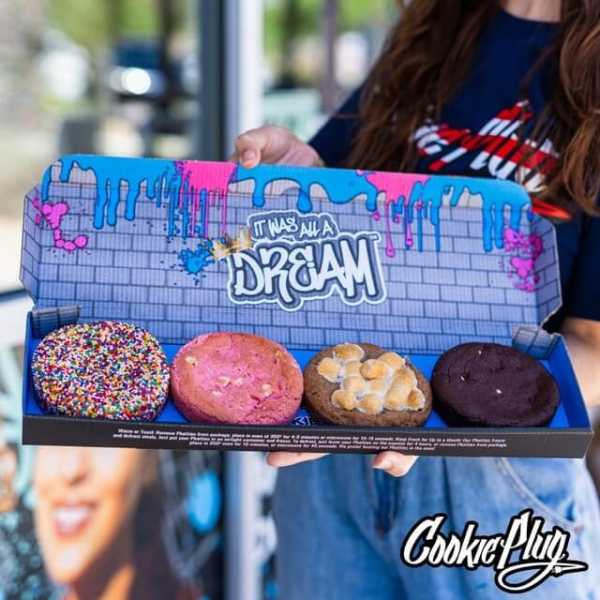 The Cookie Plug