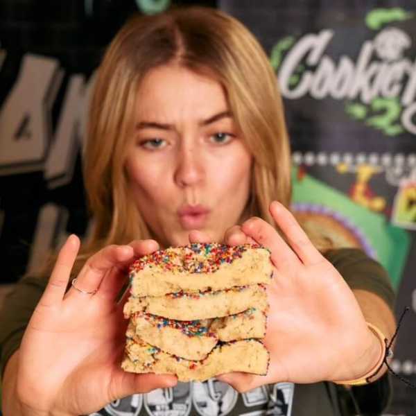 The Cookie Plug