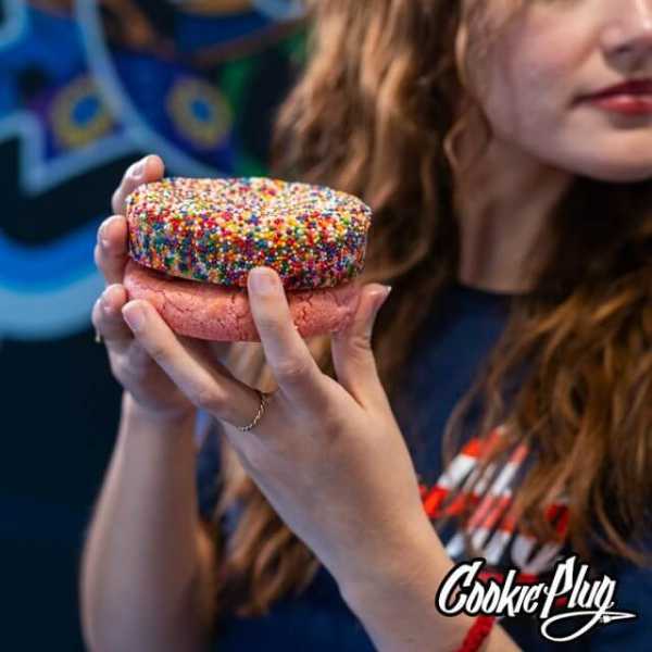 The Cookie Plug