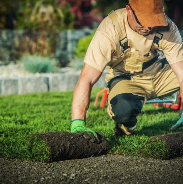 Custom Landscaping 